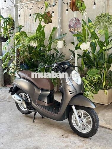 Honda Scoopy 2023 bstp chính chủ.
