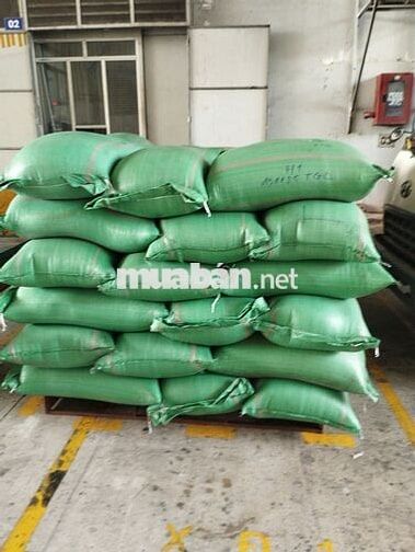 TUYỂN DỤNG CÔNG NHÂN BỐC XẾP