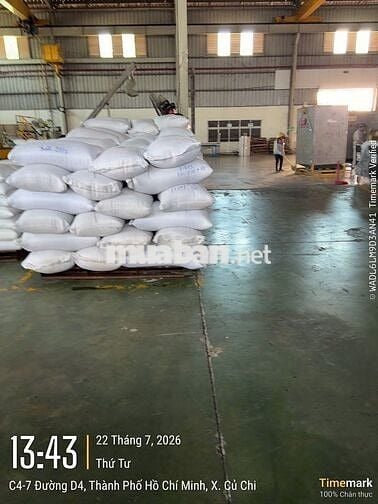 TUYỂN DỤNG CÔNG NHÂN BỐC XẾP