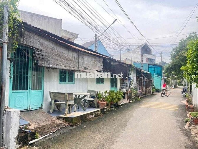 Bán đất tặng căn nhà cấp 4 và 2 kiot Chánh Mỹ-TDM gần Ql13 giá êm