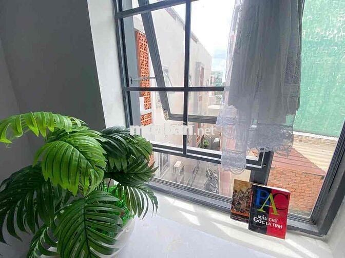 KHAI TRƯƠNG DỰ ÁN GIÁ HẠT DẺ NGAY LÊ ĐỨC THỌ