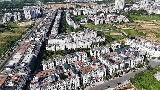 Cho thuê shophouse văn phòng mặt đường Lê Quang Đạo