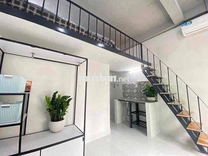 KHAI TRƯƠNG DỰ ÁN GIÁ HẠT DẺ NGAY LÊ ĐỨC THỌ