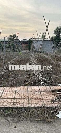 🔥 Cần bán gấp lô đất 134.9m², Xuân Đông, Cẩm Mỹ, Đồng Nai
