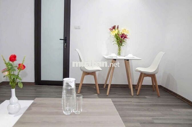 Cho Thuê Căn Hộ Dịch Vụ - 1PN Tách Bếp 55m2 - Ban Công - Nơ Trang Long