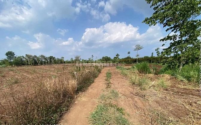 Công ty Đấu giá hợp danh Lam Sơn Sài Gòn THÔNG BÁO ĐẤU GIÁ TÀI SẢN