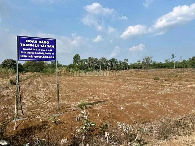 Công ty Đấu giá hợp danh Lam Sơn Sài Gòn THÔNG BÁO ĐẤU GIÁ TÀI SẢN