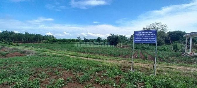 Công ty Đấu giá hợp danh Lam Sơn Sài Gòn THÔNG BÁO ĐẤU GIÁ TÀI SẢN