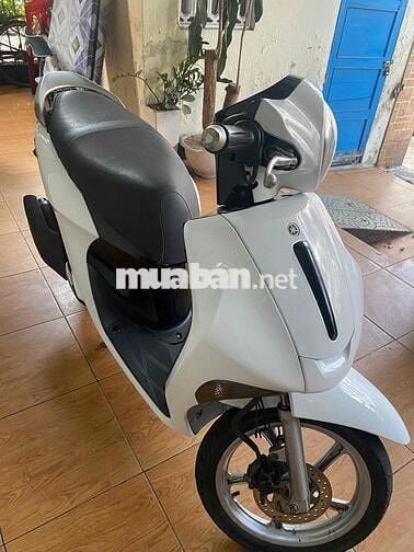 bán xe Janus xe còn rất mới máy bao êm