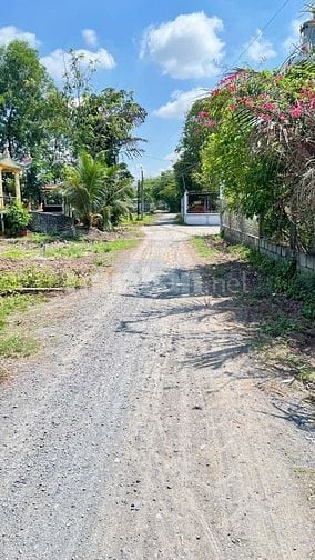 Bán 1 công đất ruộng huyện Đức Hòa, Long An