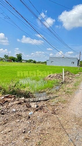Bán 1 công đất ruộng huyện Đức Hòa, Long An