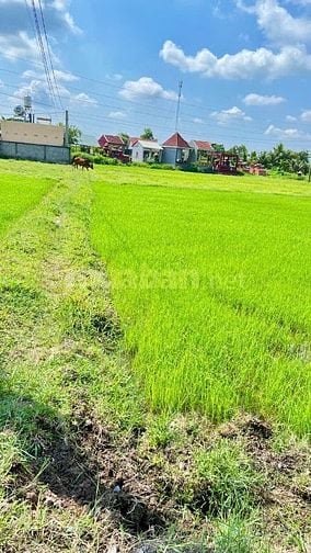 Bán 1 công đất ruộng huyện Đức Hòa, Long An