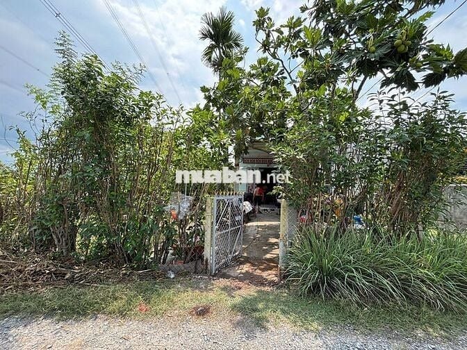 Đất thổ cư chính chủ tại xã Đức Hòa, Long An, giá tốt
