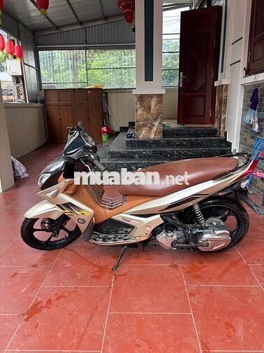 Yamaha Novo 4 Tự động Nâu, Vàng đồng