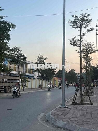 CHÍNH CHỦ BÁN ĐẤT MẶT ĐƯỜNG ĐÔNG MỸ