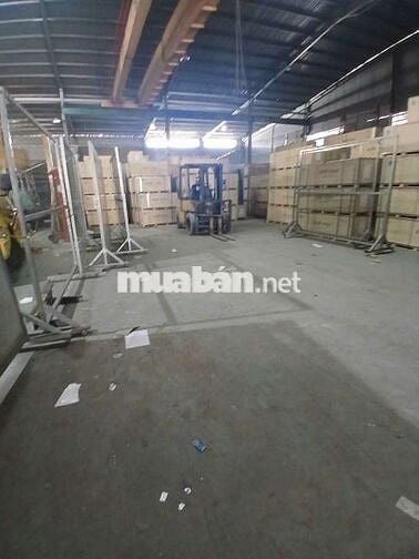 XƯỞNG 13X50M CONT 24/24 GÚA TỐT