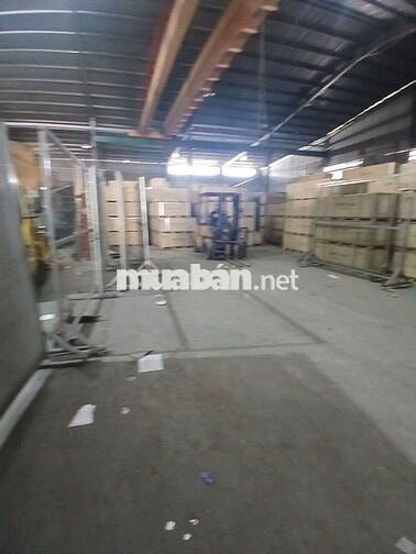 XƯỞNG 13X50M CONT 24/24 GÚA TỐT