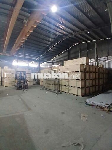 XƯỞNG 13X50M CONT 24/24 GÚA TỐT