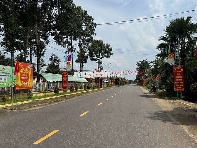 MÌNH CẦN SANG LẠI LÔ ĐẤT AN LINH, PHÚ GIÁO , THỔ CƯ SẴN, GIÁ MỀM!
