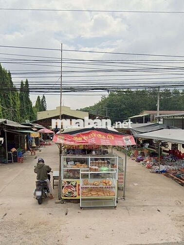 MÌNH CẦN SANG LẠI LÔ ĐẤT AN LINH, PHÚ GIÁO , THỔ CƯ SẴN, GIÁ MỀM!