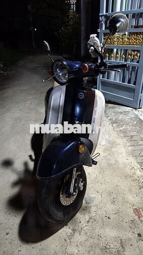Xe máy 50cc Gogo Xanh trắng