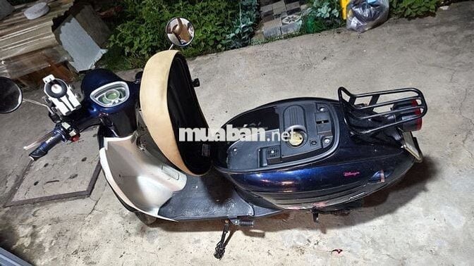 Xe máy 50cc Gogo Xanh trắng