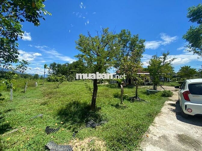 🔥 BÁN ĐẤT TẶNG NHÀ C4 - DIỆN TÍCH KHỦNG 924.6M² - KIỆT Ô TÔ TẬN ĐẤT 🔥