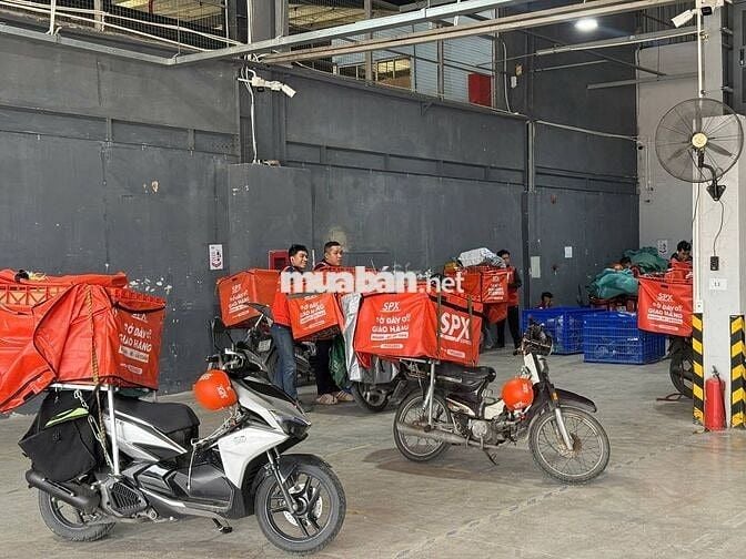 XÃ NGỌC HIỂN - SHIPPER GIAO HÀNG ( SPX EXPRESS)