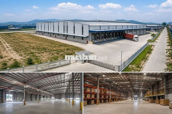 CHO THUÊ KHO 2.000M² + 3.000M² ĐẤT TẠI QL1A – PCCC TỰ ĐỘNG, GIÁ 70K