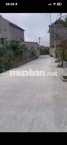 👏👏Tỳ ĐIỆN phú Hoà Thanh Hà - Trung Kênh Lương Tài  💓Sân bay quốc tế gi