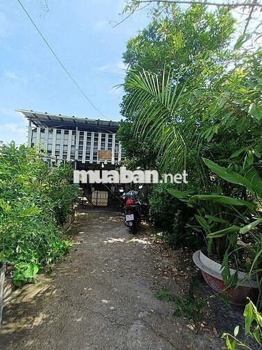 Nhà Chánh Nghĩa - Đường Bùi Quốc Khánh