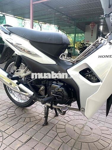 Honda Wave Alpha 110 Trắng