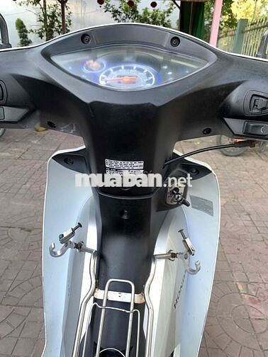 Honda Wave Alpha 110 Trắng