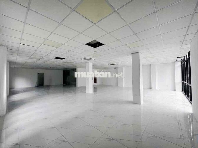 🏢 CHO THUÊ TÒA NHÀ GÓC 2 MẶT TIỀN – ĐƯỜNG CÁCH MẠNG THÁNG TÁM, QUẬN 3