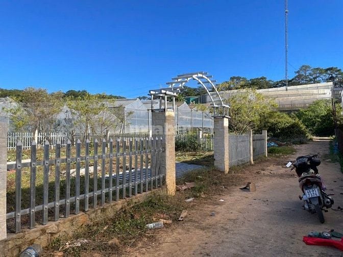 CHÍNH CHỦ BÁN ĐẤT 500M² P7 ĐÀ LẠT - SỔ HỒNG RIÊNG - GIÁ CHỈ 3 TỶ 199 T