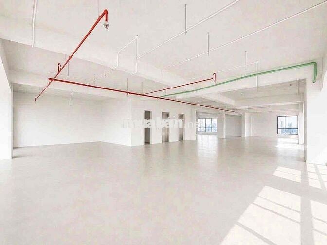🏢 CHO THUÊ TÒA NHÀ MẶT TIỀN ĐƯỜNG PHAN ĐÌNH PHÙNG – QUẬN PHÚ NHUẬN