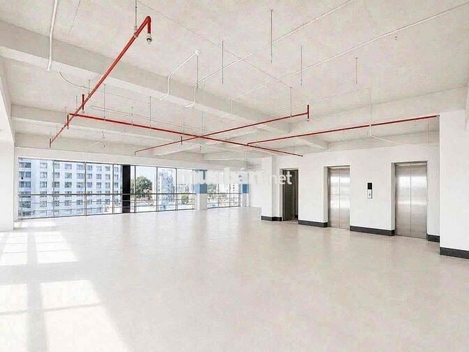 🏢 CHO THUÊ TÒA NHÀ MẶT TIỀN ĐƯỜNG PHAN ĐÌNH PHÙNG – QUẬN PHÚ NHUẬN
