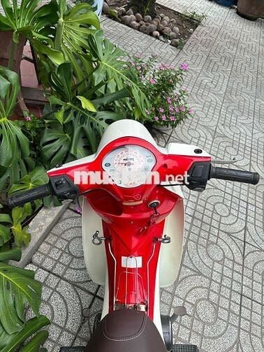 SYM Angela 50cc Trắng, Đỏ