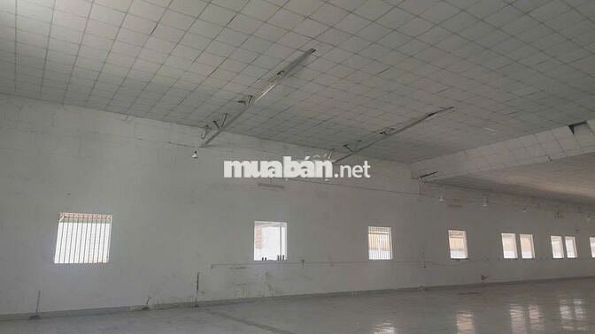 🚛 CHO THUÊ KHO LOGISTICS & CỤM VĂN PHÒNG – SẴN SÀNG KHAI THÁC