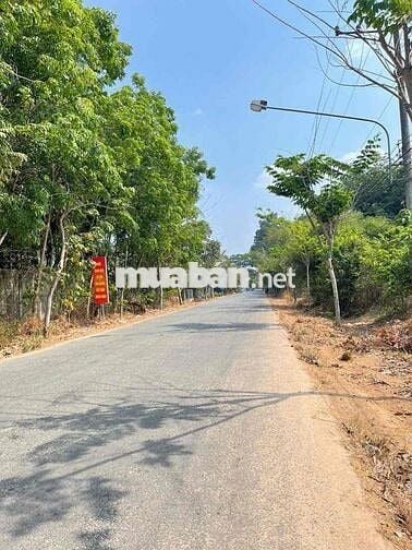 BÁN GẤP đất 31,6x55 thổ cư 300m 500m SKC nhựa 6m xecông chạy sát DT744