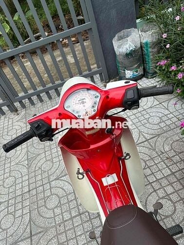 SYM Angela 50cc Trắng, Đỏ