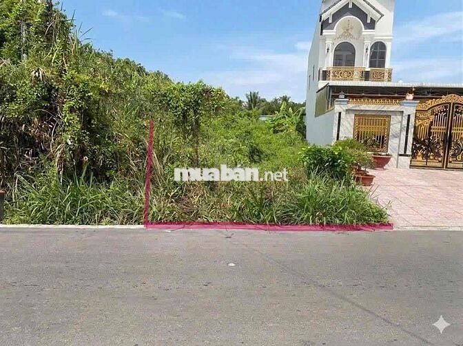 Mặt tiền Bùi Hữu Nghĩa Lộ 6m, full thổ cư 181m2.
