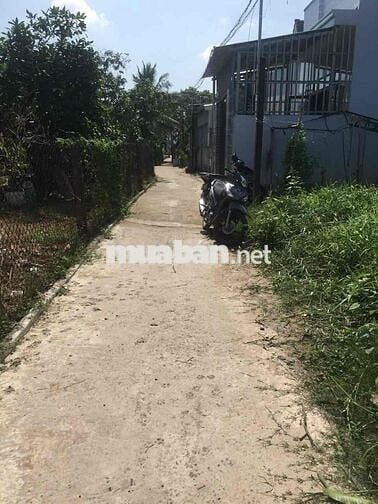 Bán đất ấp 4 xã Mỹ Yên tỉnh Tây Ninh(tỉnh Long An cũ)