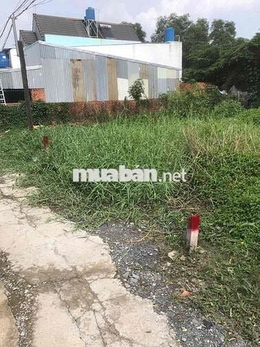 Bán đất ấp 4 xã Mỹ Yên tỉnh Tây Ninh(tỉnh Long An cũ)