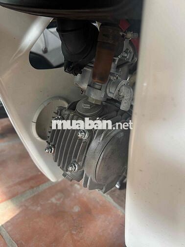 Honda Super Dream Trắng, Đỏ đô