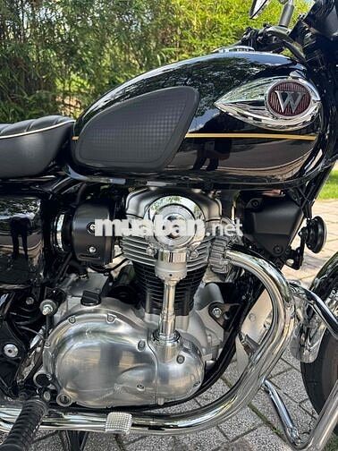 Kawasaki W800 2025