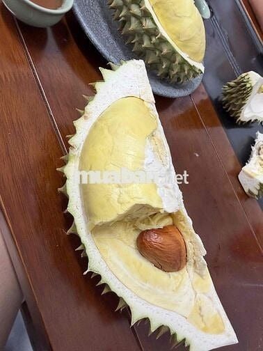 tuyển dụng nhân viên văn phòng