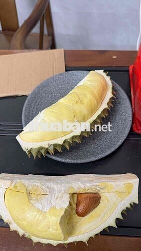 tuyển dụng nhân viên văn phòng