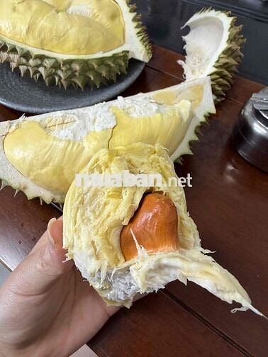 tuyển dụng nhân viên văn phòng