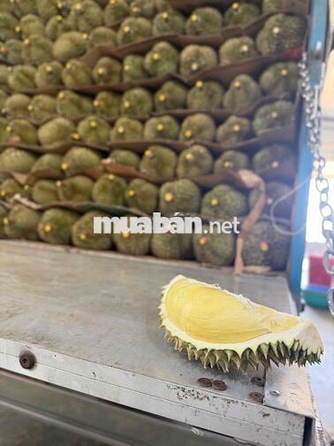 tuyển dụng nhân viên văn phòng